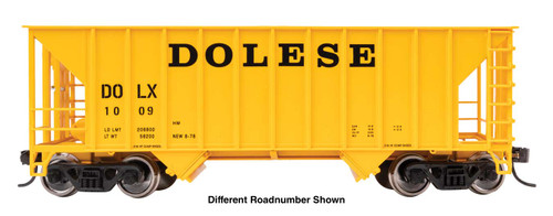 WalthersMainline ~ 34' 100-Ton 2-Bay Hopper ~ DOLESE #1013 ~ 910-56639