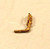 Cal Scale ~ HO Scale ~ Whistle Right Side Mount ~ 606