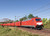Trix ~ HO Scale ~ Class 186 Electric Locomotive ~ DB AG #186 339-8 ~ DCC Sound ~ 25800