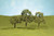 Bachmann ~ 5" Walnut Trees ~ 32207