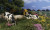 Woodland Scenics ~ Yellow & Pink Flowers ~ Scene-A-Rama ~ All Scale ~ SP4188
