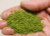 Scenic Express ~ SuperLeaf Scale Model Leaf Flake ~ 1 Gallon 3.8L ~ Spring Green ~ 6124