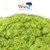 WWScenics ~ Any Scale ~ Spring Grass ~ 6mm Fibers ~ 1000ml Canister ~ WSG6009