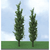 JTT Scenery Products ~ HO Scale ~ Pro Elite ~ Poplar Trees ~ 5 - 6" ~ pkg(3) ~ 92318