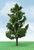 JTT Scenery Products ~ Spruce Tree ~ 5 to 5-1/2" / 12.7 to 14cm Tall ~ 2 Pieces ~ 92317