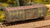 Trains Line ~ N Scale ~ Weathered 40' Single-Door Boxcar ~ Conrail #60833 ~ 02444610