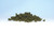 Woodland Scenics ~ Underbrush ~ 12oz Bag ~ Olive Green ~ FC134