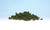Woodland Scenics ~ Underbrush Clump Foliage ~ 12oz Bag ~  Light Green ~ FC135