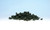 Woodland Scenics ~ Underbrush Clump Foliage ~ 12oz Bag ~ Dark Green ~ FC137