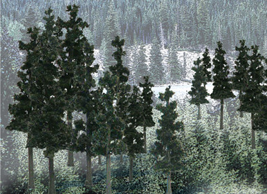 Value Trees, Conifer · 2.25" to 4" (33)