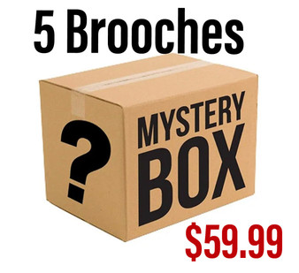 MYSTERY BROOCH BOX 5 PIECES- FINAL SALE