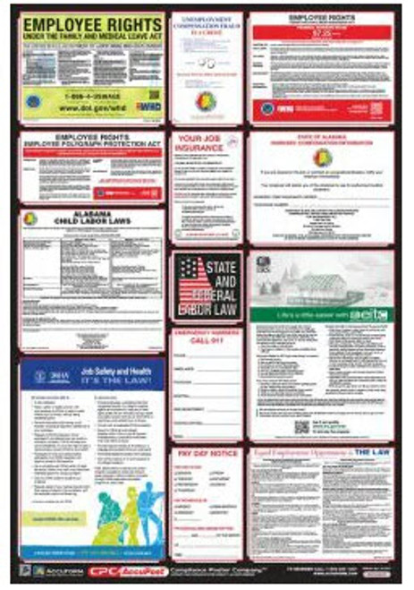 OSHA Safety Poster: Combo State, Federal & OSHA Labor Law Posters, 40"x27", NM