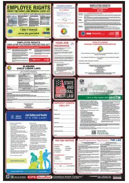 OSHA Safety Poster: Combo State, Federal & OSHA Labor Law Posters, 40"x27", MT