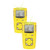 BW GASALERT MICROCLIP X3 LEL/O2/CO/H2S DIFFUSION - RENTAL