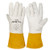 24C Premium Kidskin TIG Glove, M