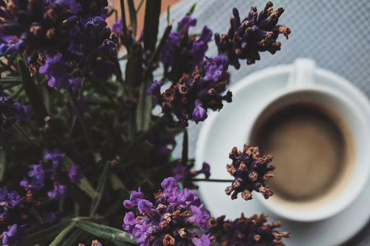 7 Essential Oil Tips for a Daily Pick Me Up