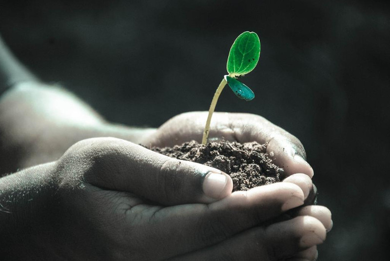 Kalpana NYC - Commitment To Our Incredible Planet | Ecosystem Restoration Kalpana NYC - Commitment To Our Incredible Planet | Ecosystem Restoration