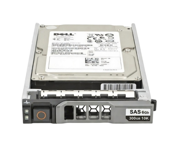 H523N Dell 300GB 2.5in SFF 10kRPM 6Gb SAS 2.0 Hot-Swap Enterprise Hard Drive for PowerEdge Servers (New Bulk Pack with 90 Days Warranty)