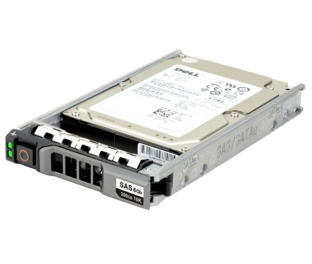 H523N Dell 300GB 2.5in SFF 10kRPM 6Gb SAS 2.0 Hot-Swap Enterprise Hard Drive for PowerEdge Servers (New Bulk Pack with 90 Days Warranty)