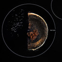 Whirlpool® 30" Intelligent Induction Cooktop with Temp Cook™ Technology and WipeClean™ Coating WCIT7530SS