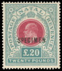 Natal Scott 100s Gibbons 145bs Specimen  (1)