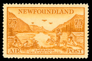 Canada / Newfoundland Scott C17v Gibbons 234w Mint Stamp