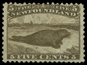 Canada / Newfoundland Scott 25 Gibbons 26 Mint Stamp