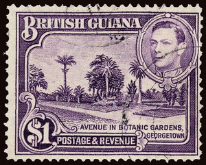 British Guiana Scott 239a Gibbons 317a Used Stamp (1)