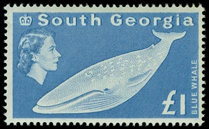 Falkland Islands Dependencies:  South Georgia Scott 1-16 Gibbons 1-16 Never Hinged Set of Stamps