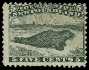 Canada / Newfoundland Scott 26 Gibbons 38 Mint Stamp