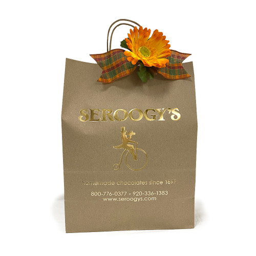 Classy Brown Bag Fall