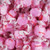 8 oz Strawberry Taffy