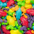 12 oz Gummi Rainforest Frogs