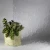 Spraylite Glass