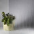 Fluid Glass