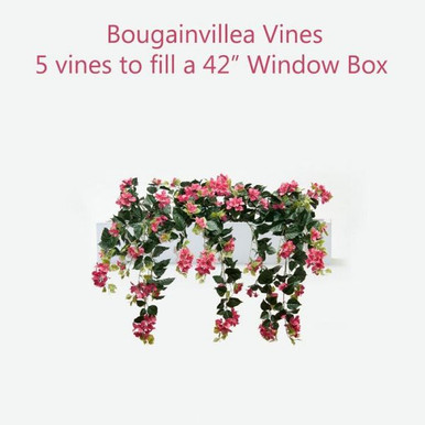 UV Fade Resistant Bougainvillea Sets for Standard Size Window Boxes
