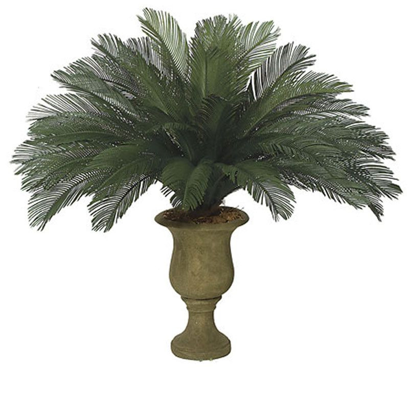 サゴ・パーム Exterior Rated UV Fade Resistant 44