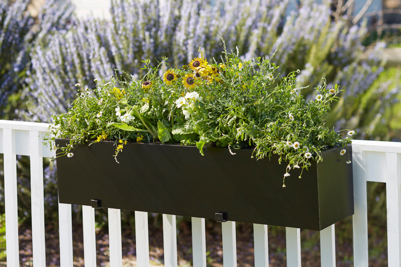 Image of Metal fence planter with flowers