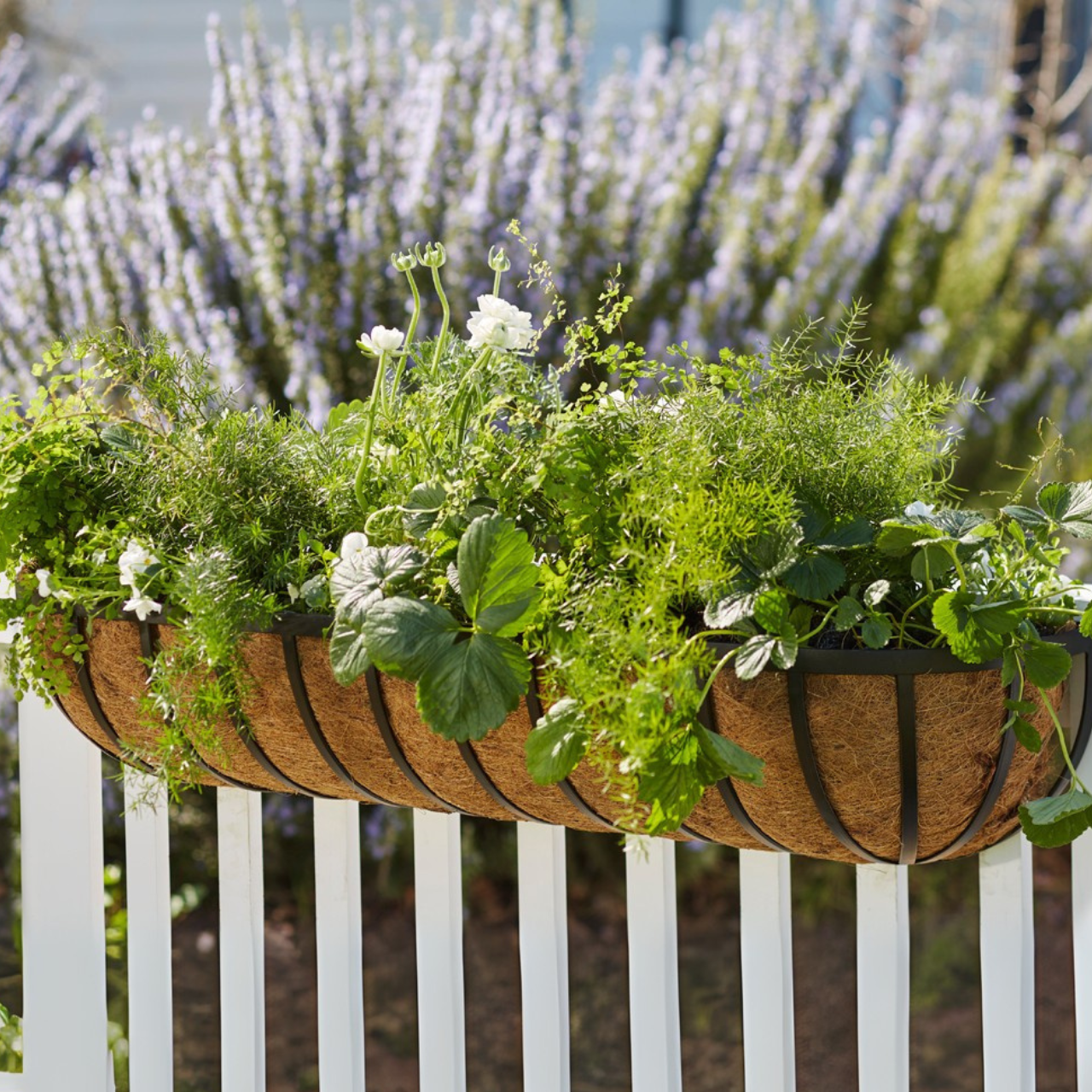 English Garden Railing Basket