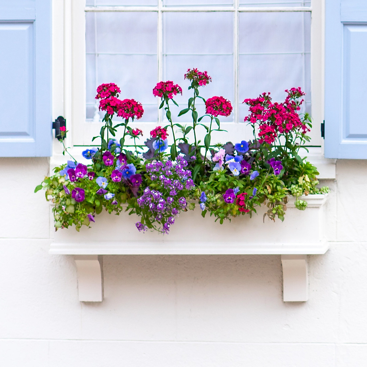 Hooks and Lattice Laguna Window Box - Thumbnail 3