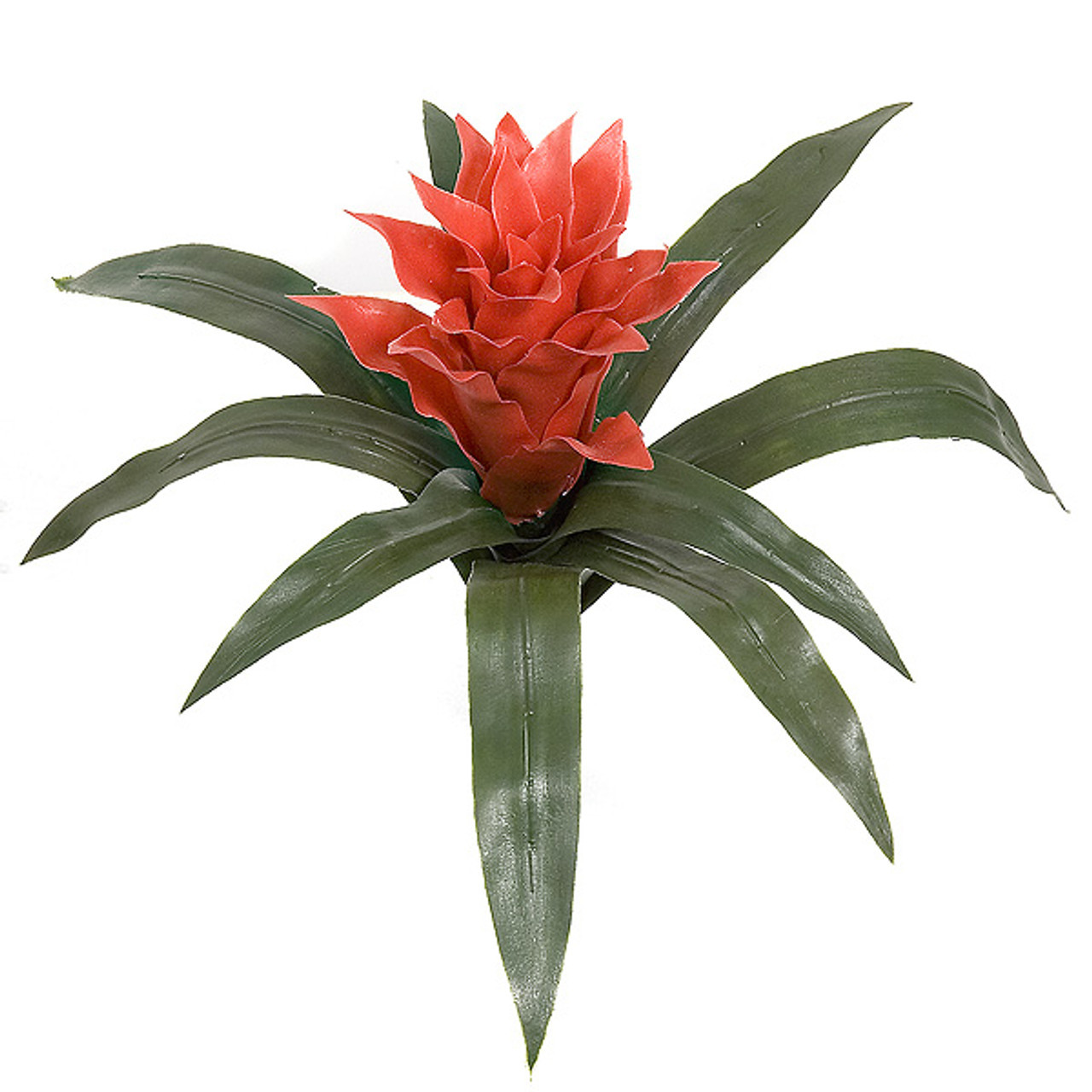 Guzmania UV Outdoor Rated