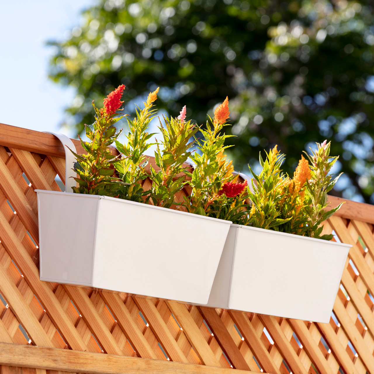 Metal Railing Planter with Hooks