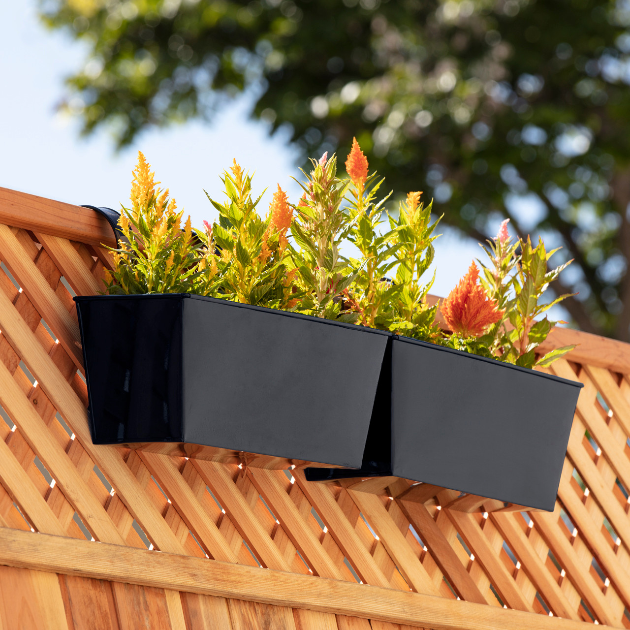 Metal Railing Planter with Hooks