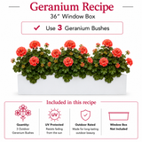 Outdoor Rated Red Geranium Recipe for 36" Window Box