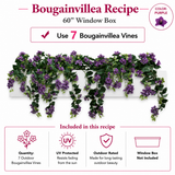 Outdoor Rated Purple Bougainvillea recipe