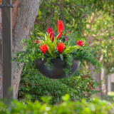 Black Fiberglass Hanging Basket with tropical flowers
