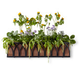 Arch Window Box with copper liner