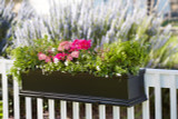 Black Fiberglass Laguna Window Box installed as railing planter with additional hardware. Black Fiberglass Laguna Window Box installed as railing planter with additional hardware.