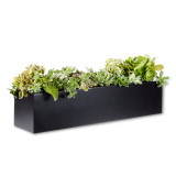 Black fiberglass Modern Window Box with succulent arrangement