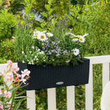 Black Cottage Weave Window Box on railing